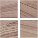 Thirstystone Sandstone Cinnabar Coasters