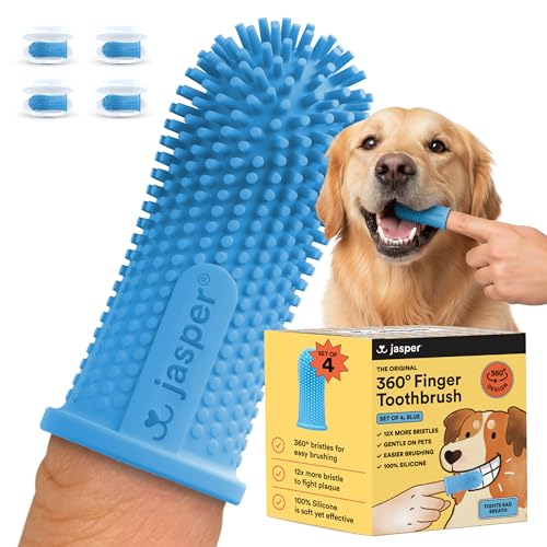 Jasper Dog Toothbrush