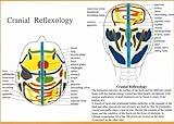 Image de Cranial Reflexology