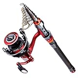 Rod and Reel Combo Carbon Fiber Telescopic Fishing Poles and Spinning Reels Saltwater for Bass Trout