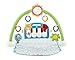 Fisher-Price First Steps Kick 'n Play Piano Gym