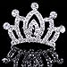 Mini Princess Crown Comb Tiara Hair Clips for Wedding Flower Girls Birthday Party Favor Cupcake Toppers Pack of 6