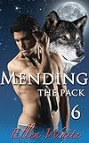 Mending the Pack (The Alpha's Mate Book 6)