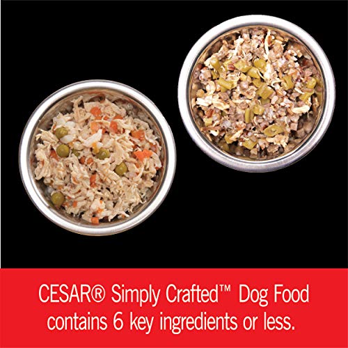 CESAR Simply Crafted Adult Wet Dog Food Meal Topper Variety Pack