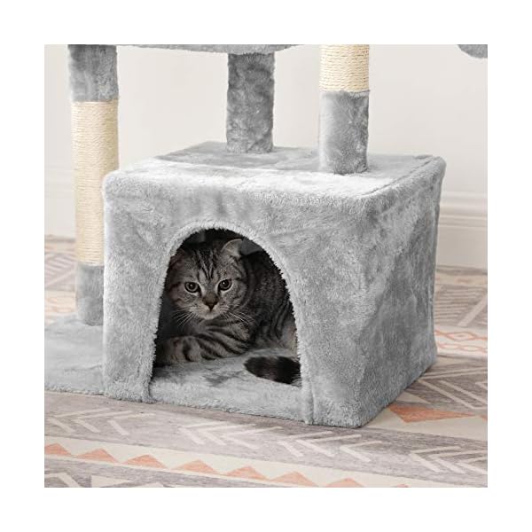enclosed cat condo