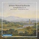SYMPHONIES 2 AND 4 / CONCERT OVERTURE              image
