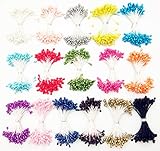 Dandan DIY 1600pcs Multi-Colors Flower Stamen with 3mm Pearl for Sewing Home Wedding Decor Craft Making Diy Supply (16 Colors)