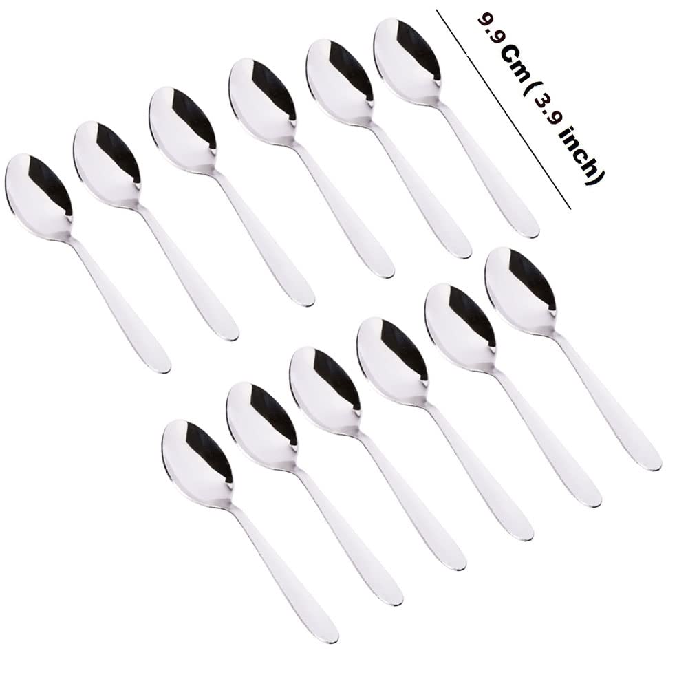 Stainless Steel Spice Box Spoons Set of 12 (Silver)
