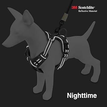 Voyager no pull harness Clearance