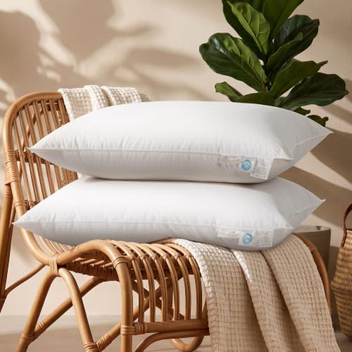 LIANLAM Goose Down Pillow