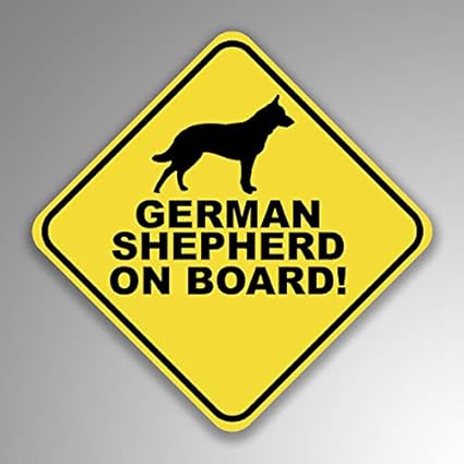 can dog eat blueberries