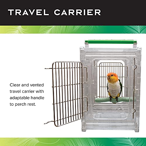 clear bird carrier