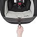 Evenflo SureRide DLX Convertible Car Seat, Paxton