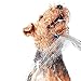 Waterpik PES-142 Pet Wand Dog Shower for Indoor-Outdoor Use, 10.5