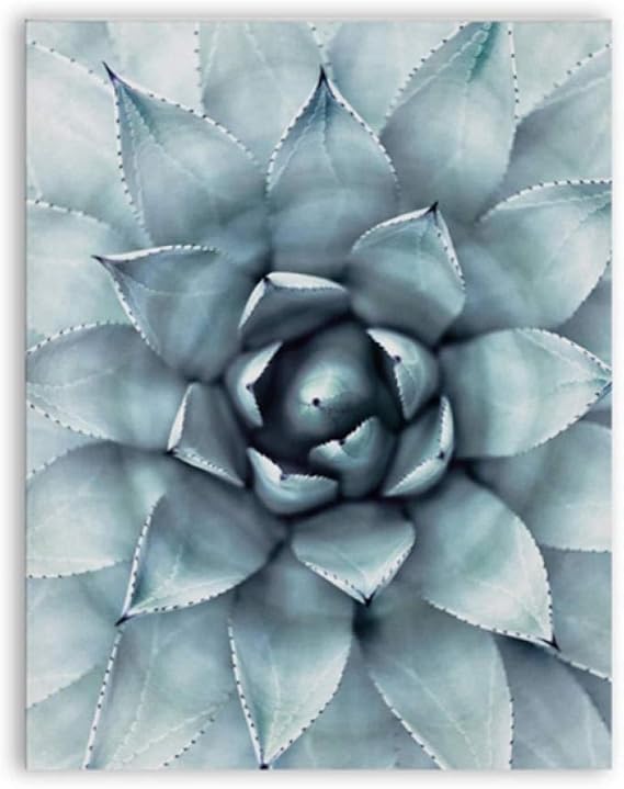 Póster moderno de suculentas tropicales de agave y letras, impresión en