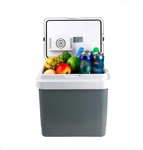 Feng Auto Companion - Nevera eléctrica portátil (25L, CA 240 V ...