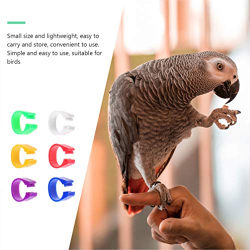 UPKOCH 100 Stücke Klemmringe Hühner Ringe Hühnerringe ohne Nummerierte Beinringe Taubenringe ID Identifikation Vogel… – Bild 4