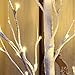 Bolylight Birch Tree 6ft 96L LED Lighted Brich Tree for Christmas Decorations for Home Bedroom Party Wedding Office Indoor and Outdoor Warm White