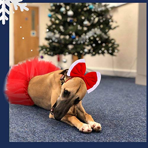dog christmas tutu