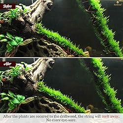 SunGrow Self-Dissolving Driftwood