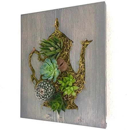Tea Pot Succulent + Cacti Vertical Garden || Living Wall || Wall Planter || Hanging Planter