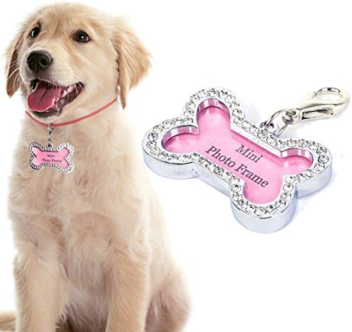 amazon cosas para perros