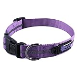 Max and Neo™ EARTH Nylon Buckle Reflective Dog Collar - We Donate a Collar to a Dog Rescue for Every Collar Sold (MEDIUM, LAVENDER PURPLE)