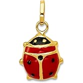 JewelryWeb 14k Yellow Gold Hollow Polished Enameled Ladybug Charm 13x9mm Pendant Necklace for Women