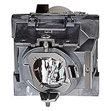 ViewSonic RLC-114 Projector Replacement Lamp for