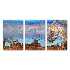 Canvas Wall Art Abstract Iron Rusty Painting Artwork for Home Prints Framed - 16"x24" x 3 Panels