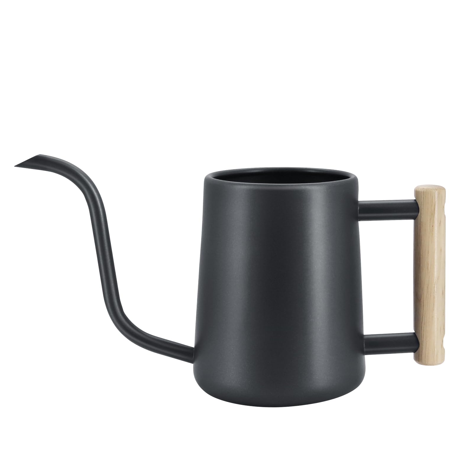 DingGreat Stainless Steel 1L Watering Can, Long Spout & Wooden Handle, Indoor Plant Care for Office and Home, Bonsai & Houseplants