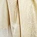 PASKMLNA Paisley Jacquard Pashmina Shawl Wrap Scarf Stole (Champagne)