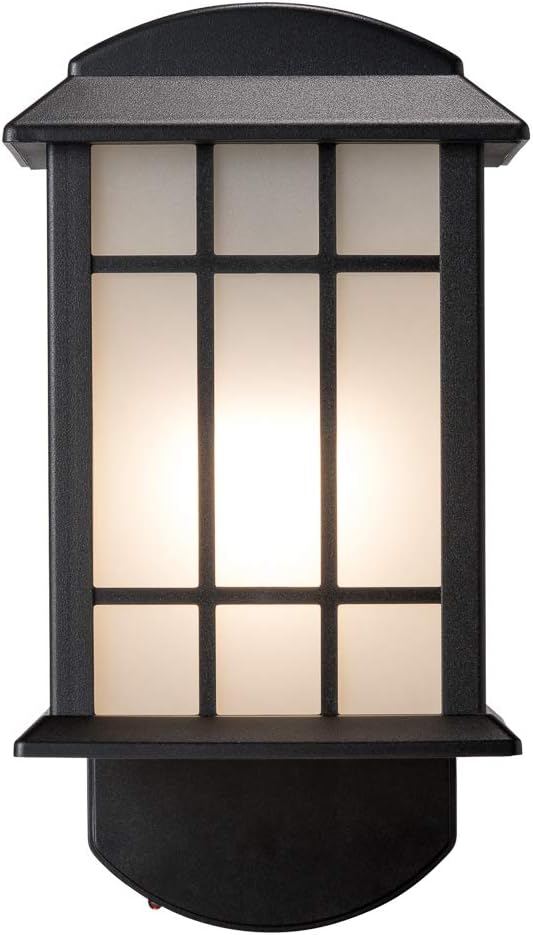 Craftsman Companion Black Outdoor Smart Security Light