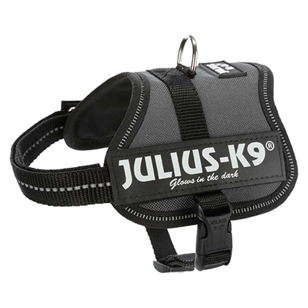 JULIUS-K9Powerharness, Size: 2XS/Baby 2, Anthracite — image 1