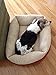 Petmate 80137 Aspen Pet Self Warming Rectangular Lounger, 30