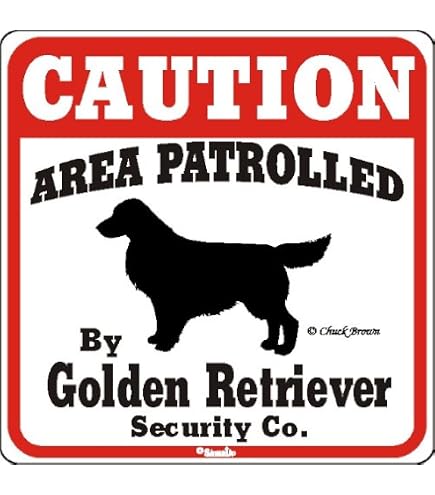 Labrador Retriever Dog Sign, Caution Dog Sign, Labrador Lover, Dog...