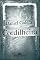 Livro Cordilheira (Amores Expressos)