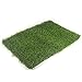 Fasmov Artificial Grass Doormat Multi Purpose Arificial Grass Door Mat, 18