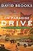 On Paradise Drive: How We Live Now (And Always Have) in the Future Tense - Book by David Brooks