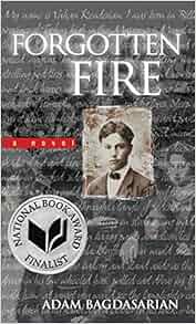 Forgotten fire summary picture