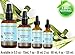Botanical Beauty Moringa Oil 100% Pure/Natural/Undiluted Cold Pressed Carrier Oil. 1 Fl.oz.- 30 ml. For Skin, Hair, Lip And Nail Care. 