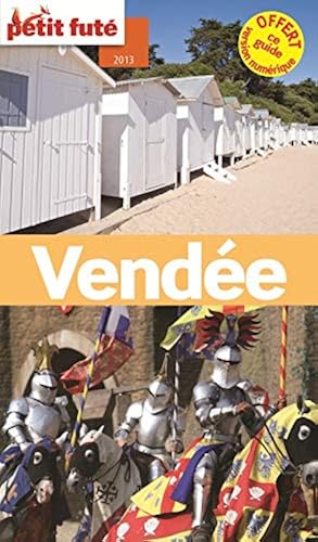 Download Petit Futé Vendée PDF