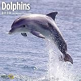 Dolphins Wall Calendar 2020 by 