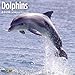 Dolphins Wall Calendar 2020 by 