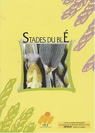 Stades du blé
