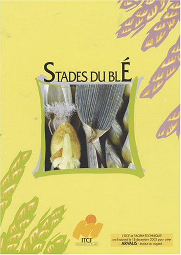 Stades du blé