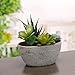 MyGift Decorative Artificial Succulent Plant Arrangement with Oval Gray Pot