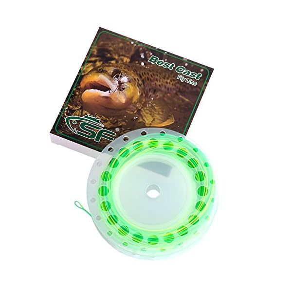 SF-Fly-Line-Fly-Fishing-Line-Weight-Forward-Floating-Line-100-FT-WF-1-2-3-4-5-6-7-8-9-wt-F
