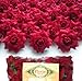 (100) Silk Red Roses Flower Head - 1.75