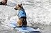 HAOCOO Dog Life Jacket Vest Saver Safety Swimsuit Preserver with Reflective Stripes/Adjustable Belt Dogs?Blue Bone,S